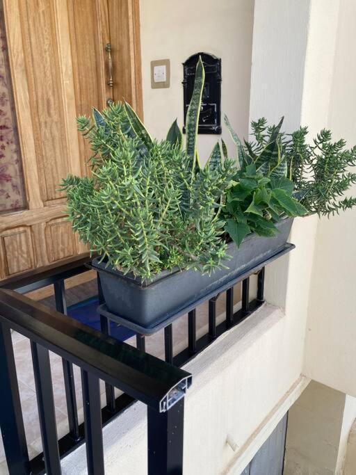 Dream Theatre Maisonette Marsaskala Zewnętrze zdjęcie